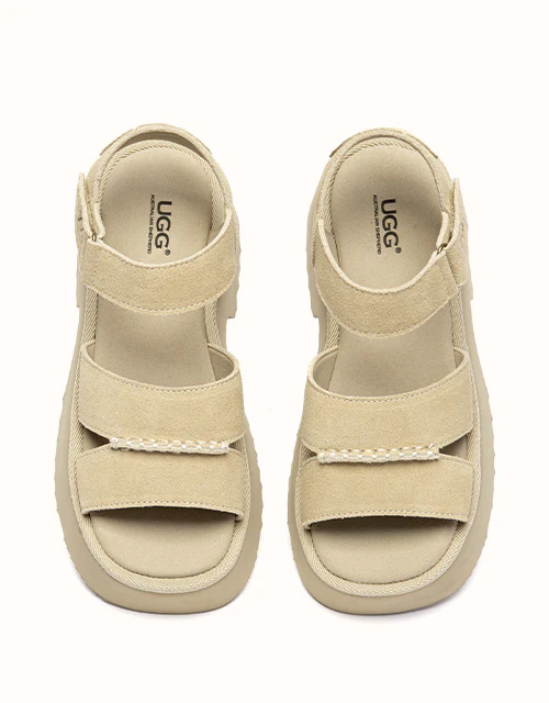 Australian Shepherd® Eive