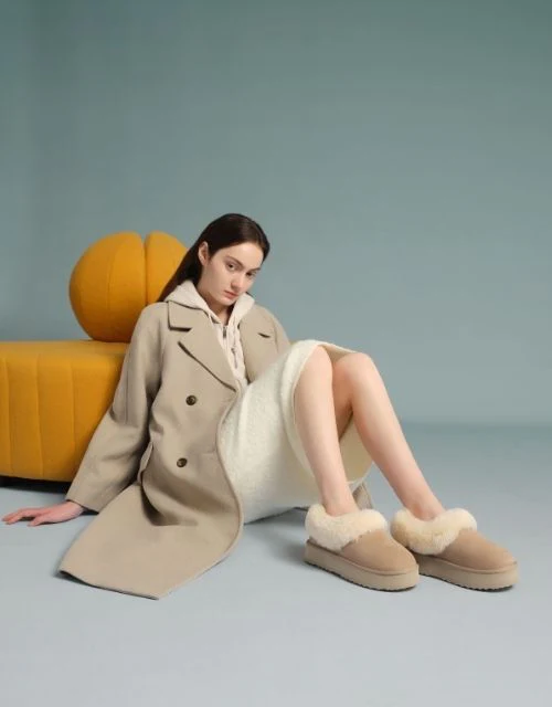 AUSTRALIAN SHEPHERD? Clarrie Platform