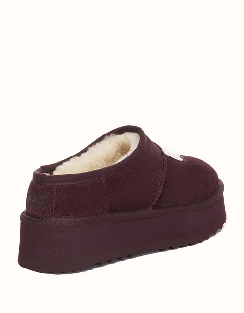 AUSTRALIAN SHEPHERD® Carmella