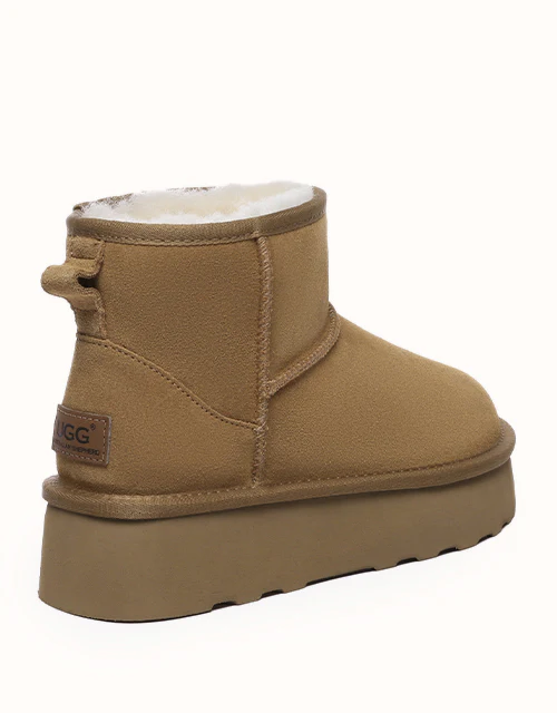 AUSTRALIAN SHEPHERD? Rommie Platform