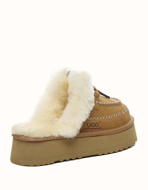 AUSTRALIAN SHEPHERD? Sammy