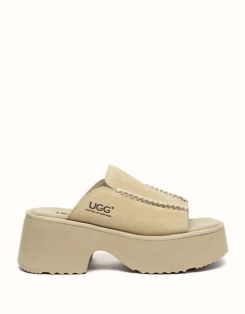 Australian Shepherd? Haive