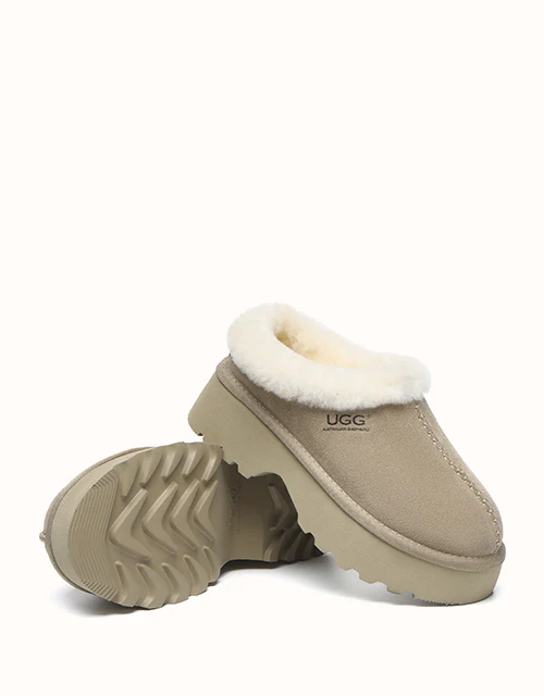 AUSTRALIAN SHEPHERD? Adrian