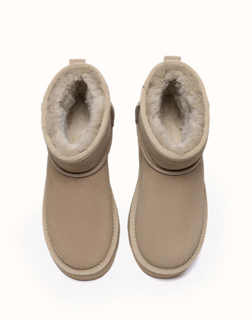 AUSTRALIAN SHEPHERD? Rommie Platform