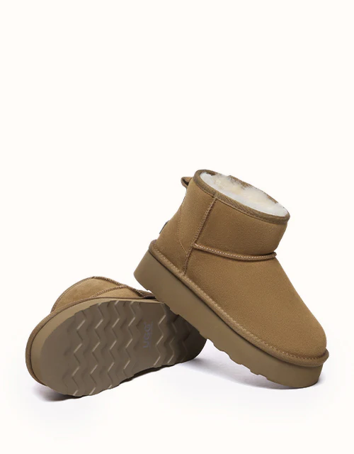 AUSTRALIAN SHEPHERD? Rommie Platform