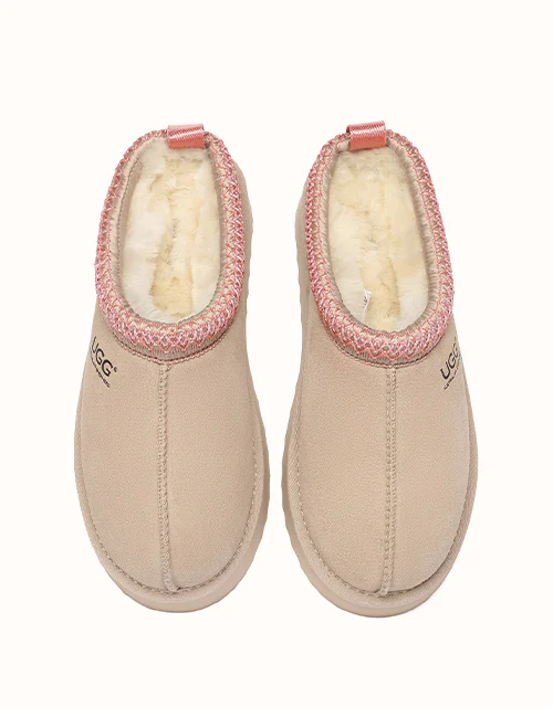 AUSTRALIAN SHEPHERD? Tay Platform Muti-Colour