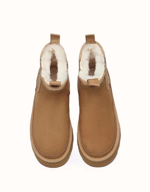 AUSTRALIAN SHEPHERD? Chelsie Platform