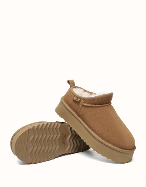 AUSTRALIAN SHEPHERD? Nano Classic Platform