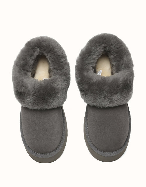 AUSTRALIAN SHEPHERD? Clarrie Platform