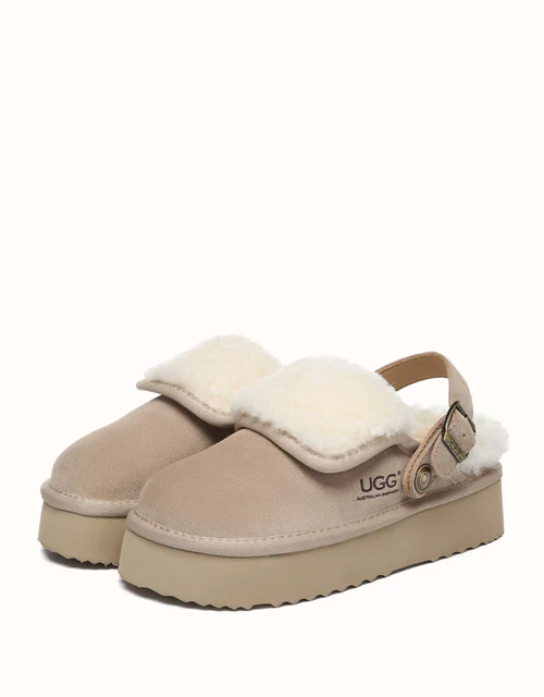 AUSTRALIAN SHEPHERD? Tenley Platform