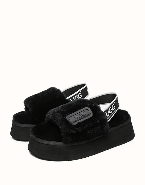 AUSTRALIAN SHEPHERD? Poppin