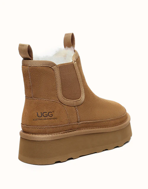 AUSTRALIAN SHEPHERD? Chelsie Platform