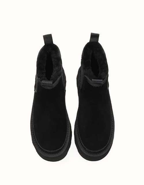 AUSTRALIAN SHEPHERD? Chelsie Platform