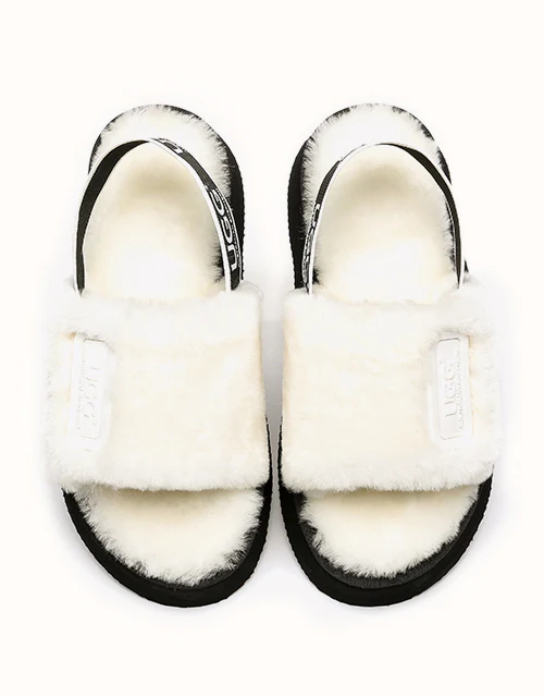 AUSTRALIAN SHEPHERD? Poppin