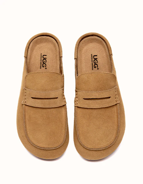 AUSTRALIAN SHEPHERD? Casten