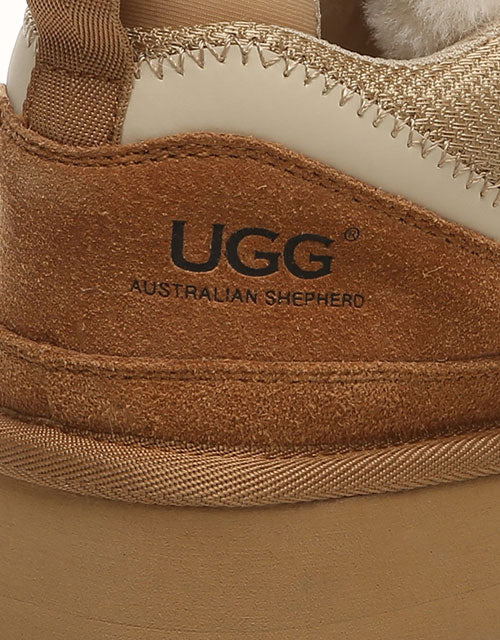 AUSTRALIAN SHEPHERD? Parkyr