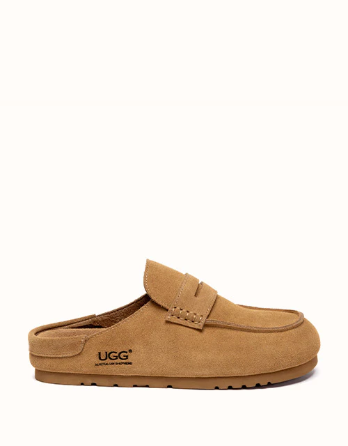 AUSTRALIAN SHEPHERD? Casten