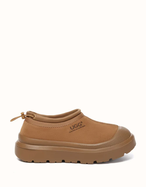 AUSTRALIAN SHEPHERD® Harlow