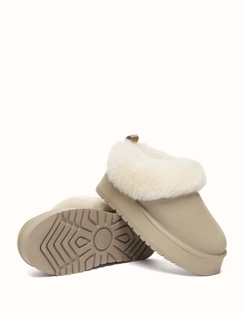 AUSTRALIAN SHEPHERD® Glacial