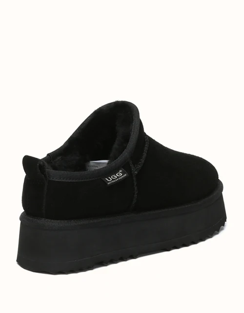 AUSTRALIAN SHEPHERD? Nano Classic Platform