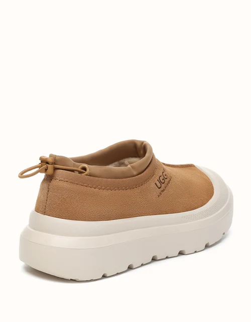 AUSTRALIAN SHEPHERD® Harlow Men