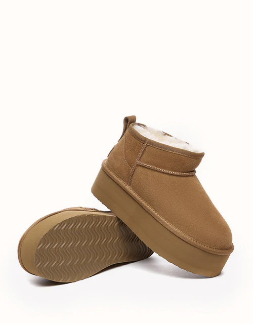 AUSTRALIAN SHEPHERD? Saylor Ultra Platform