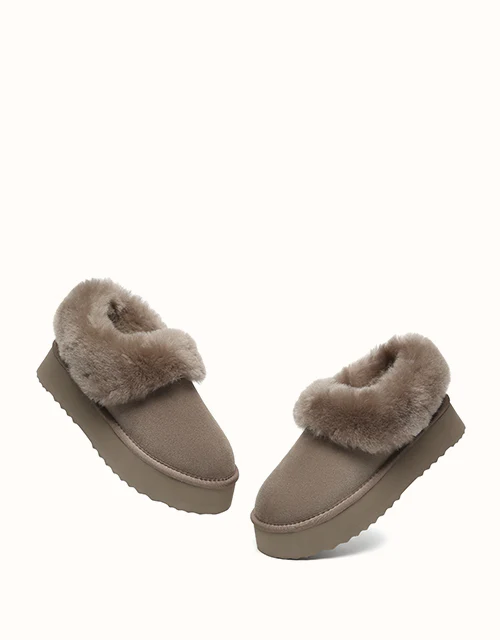 AUSTRALIAN SHEPHERD? Clarrie Platform