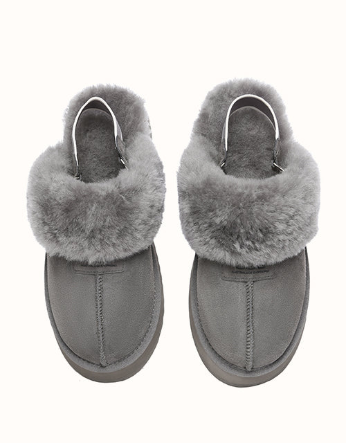 AUSTRALIAN SHEPHERD® Sp Suzie Platform