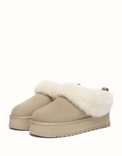 AUSTRALIAN SHEPHERD® Glacial