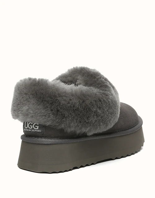 AUSTRALIAN SHEPHERD? Clarrie Platform