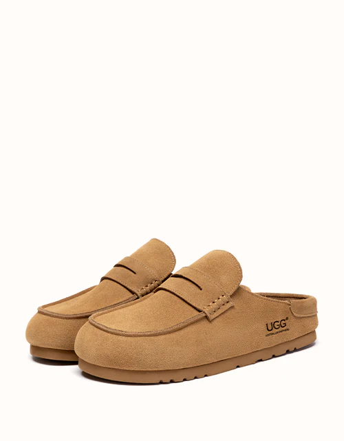 AUSTRALIAN SHEPHERD? Casten