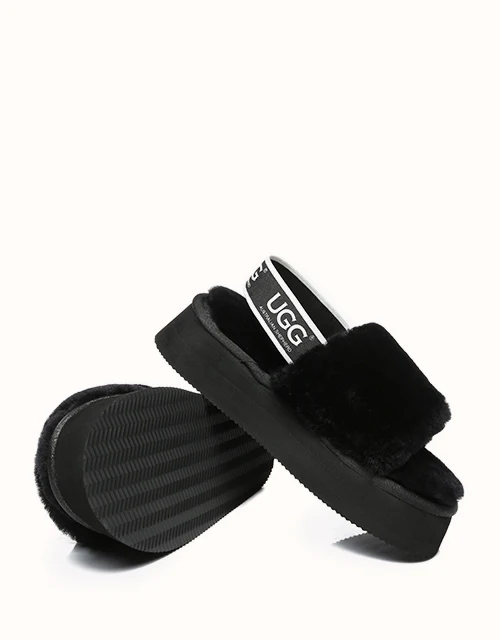 AUSTRALIAN SHEPHERD? Poppin