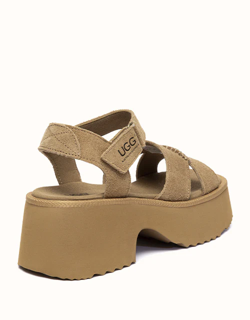 Australian Shepherd® Eive