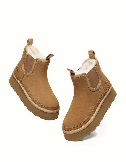 AUSTRALIAN SHEPHERD? Chelsie Platform