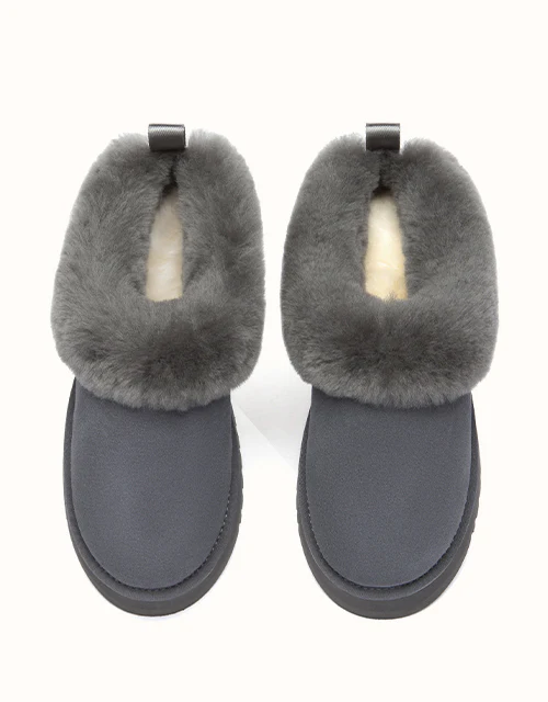 AUSTRALIAN SHEPHERD® Glacial