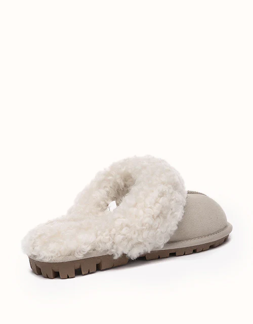 AUSTRALIAN SHEPHERD® Waffle Curly