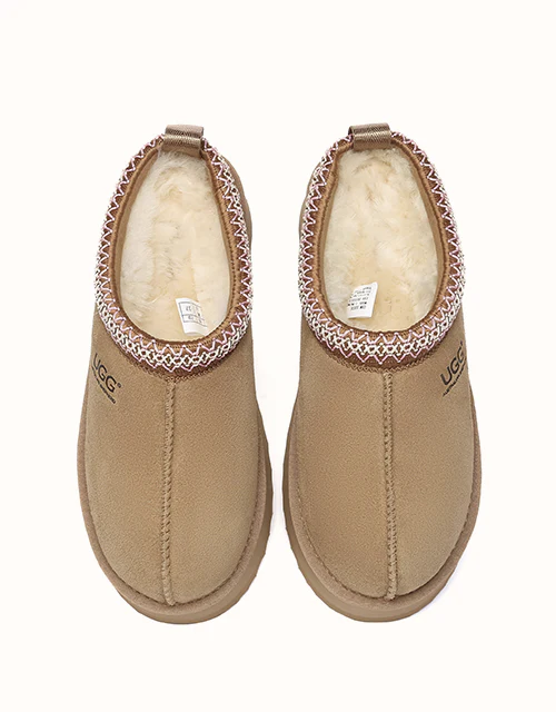 AUSTRALIAN SHEPHERD? Tay Platform Muti-Colour