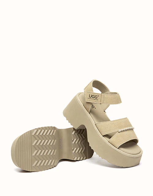 Australian Shepherd® Eive