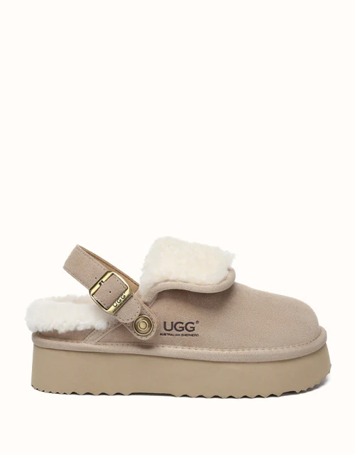 AUSTRALIAN SHEPHERD? Tenley Platform