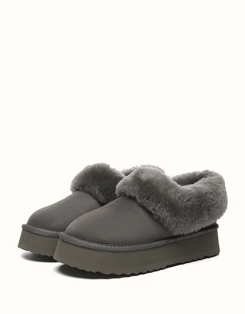 AUSTRALIAN SHEPHERD? Clarrie Platform