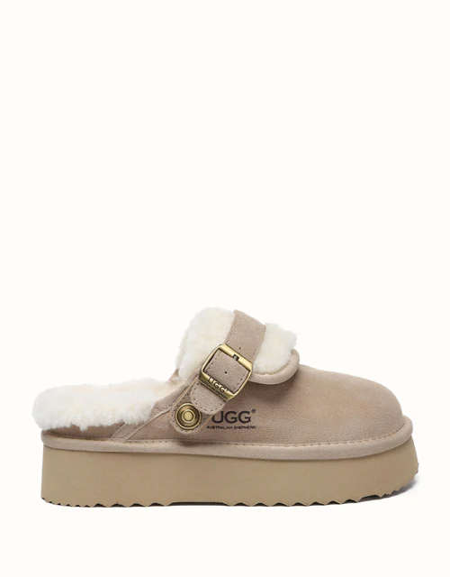 AUSTRALIAN SHEPHERD? Tenley Platform