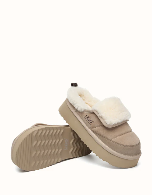 AUSTRALIAN SHEPHERD? Theia Platform