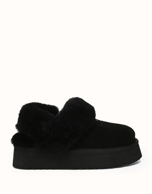 AUSTRALIAN SHEPHERD® Suzie Platform