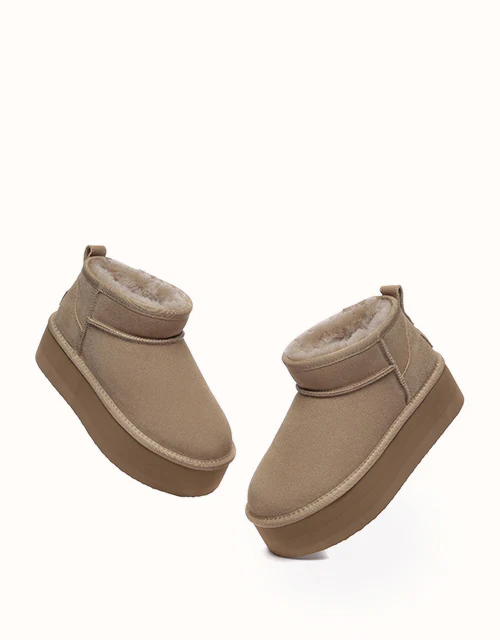 AUSTRALIAN SHEPHERD? Saylor Ultra Platform