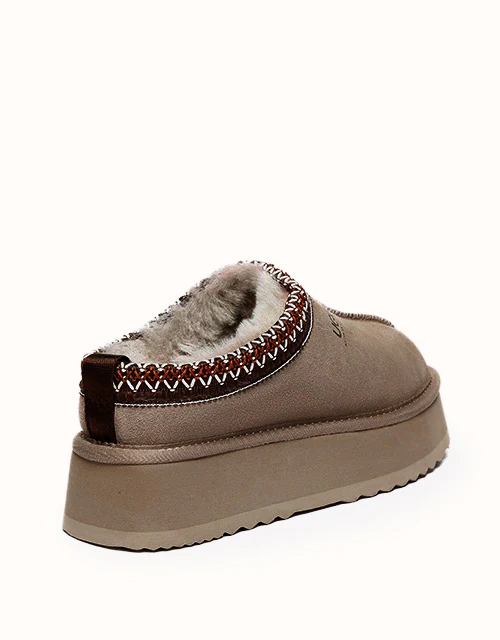 AUSTRALIAN SHEPHERD? Ventus Platform