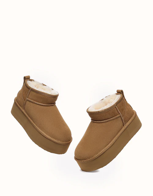 AUSTRALIAN SHEPHERD? Saylor Ultra Platform