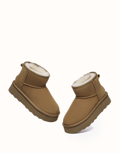 AUSTRALIAN SHEPHERD? Rommie Platform