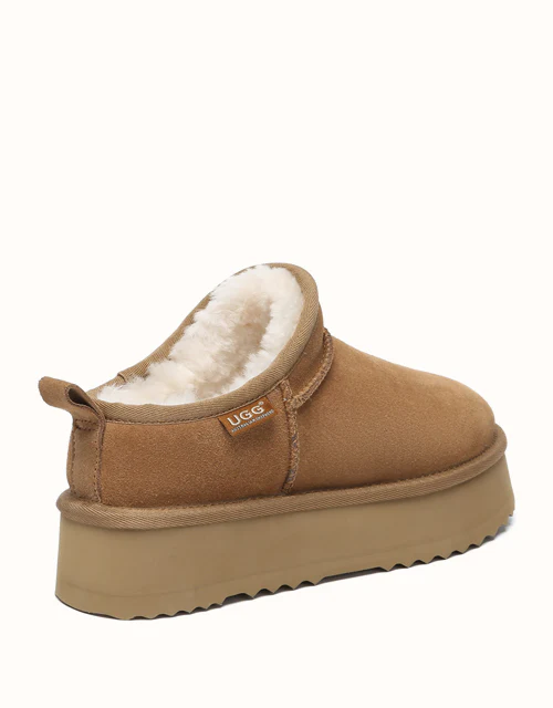 AUSTRALIAN SHEPHERD? Nano Classic Platform