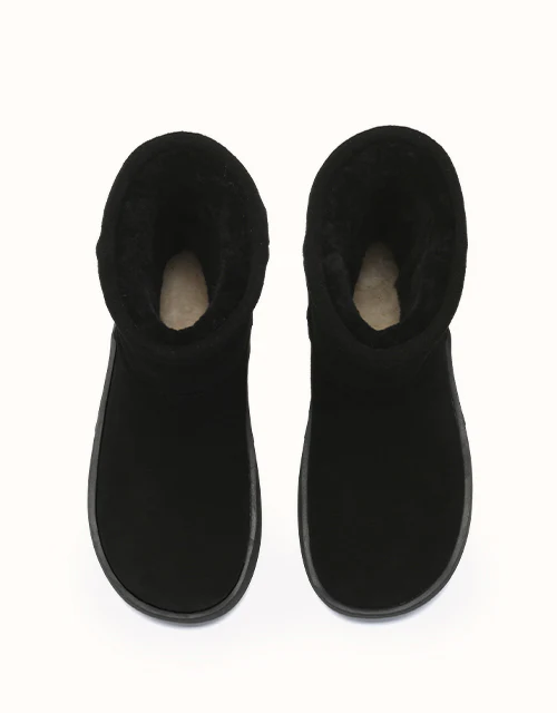 AUSTRALIAN SHEPHERD® Salma Short