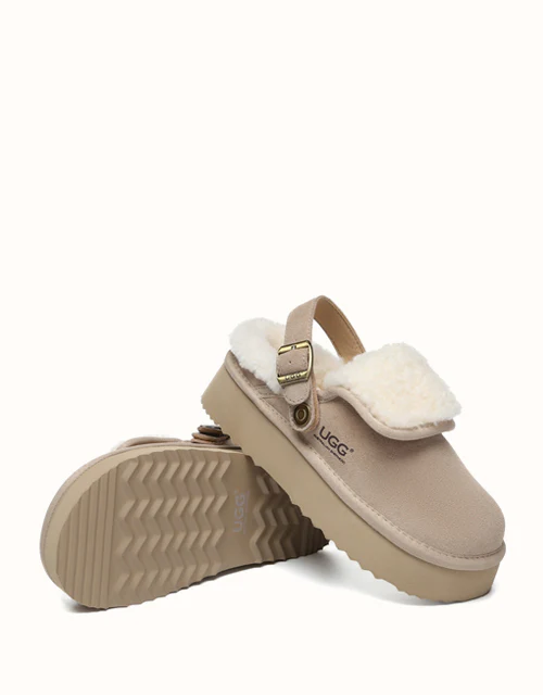 AUSTRALIAN SHEPHERD? Tenley Platform